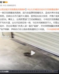 台北出现汉坦病毒致死病例！网友扒出竟早有预言，专家否认人传人